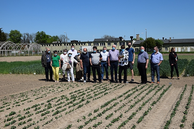 Na zdjęciu numer 3 – członkowie Komisji Rolnictwa i Infrastruktury Wsi gminy Nakło nad Notecią, rolnicy i pracownicy SDOO na oglądający poletka demonstracyjne z roślinami bobrowatymi. 
