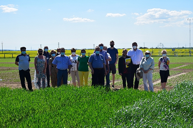 Na zdjęciu numer 4 – członkowie Komisji Rolnictwa i Infrastruktury Wsi gminy Nakło nad Notecią, rolnicy i pracownicy SDOO na oglądający poletka demonstracyjne ze zbożami ozimymi 