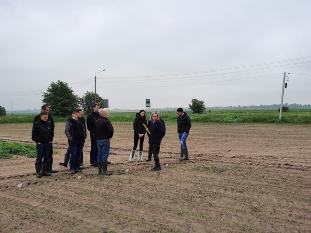 Na zdjęciu Na poletkach doświadczalnych z rzepakiem ozimym, specjalista Daniel Krauklis omawia metodykę prowadzenia doświadczeń 