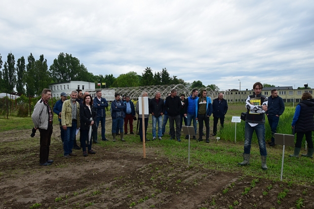Na zdjęciu Specjalista Stacji Daniel Krauklis, przy poletkach z soją,  omawia kolekcję roślin bobowatych 