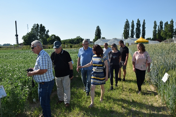 Na zdjęciu czwartym Dni Pola w SDOO w Chrząstowie