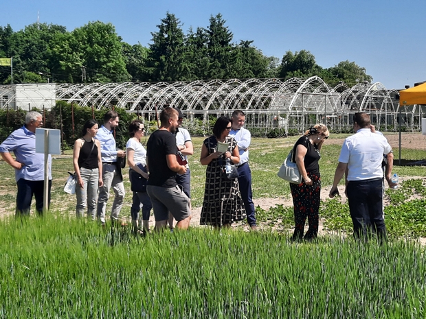 Na zdjęciu piątym rolnicy oglądający kolekcję