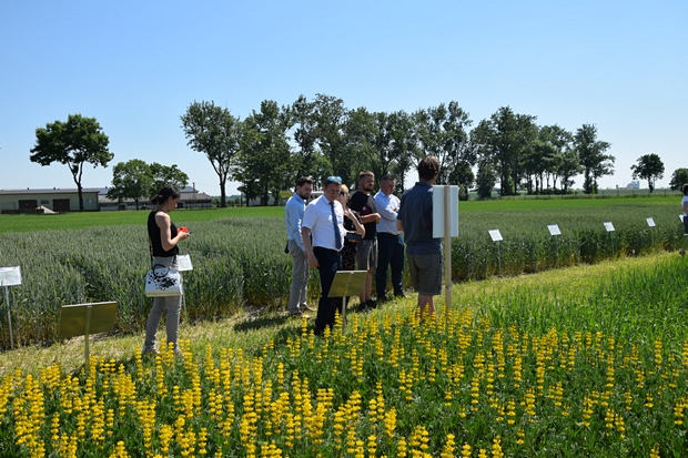 Na zdjęciu szóstym rolnicy oglądający kolekcję