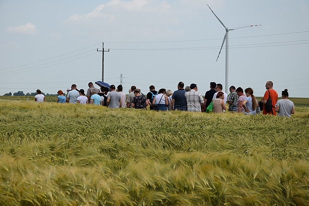 Na zdjęciu drugim uczestnicy szkolenia na doświadczeniach PDO ze zbożami ozimymi