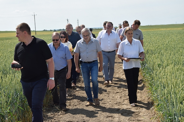 Na zdjęciu czwartym członkowie KPZ PDO na doświadczeniach PDO ze zbożami ozimymi