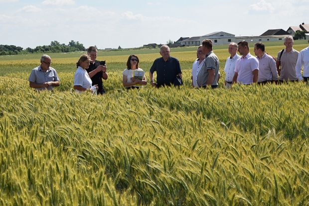 Na zdjęciu piątym członkowie KPZ PDO na doświadczeniach PDO ze zbożami ozimymi