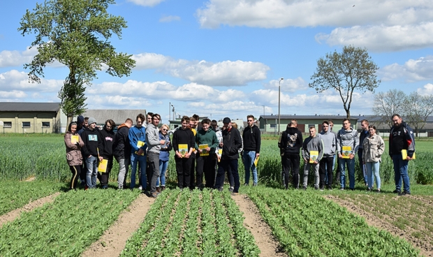 Zdjęcie nr 2 uczniowie Technikum nr 2 w Chojnicach na kolekcji odmian