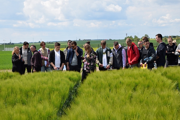 Zdjęcie nr 1 –  Rolnicy na kolekcji odmian roślin bobowatych i zbóż