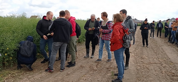 Zdjęcie nr 4 -  rolnicy na doświadczeniach z rzepakiem ozimym