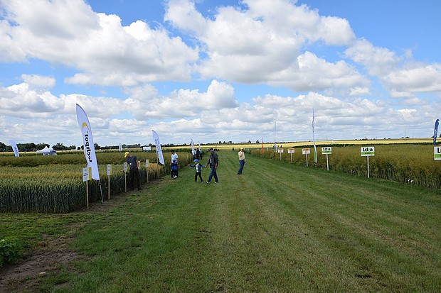 Targi AGRO-TECH w Minikowie. 