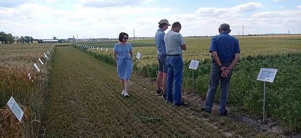 Rolnicy na kolekcji odmian w SDOO w Chrząstowie.