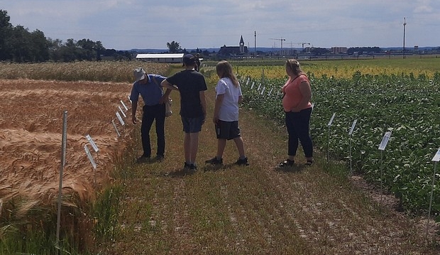 Rolnicy na kolekcji odmian w SDOO w Chrząstowie.