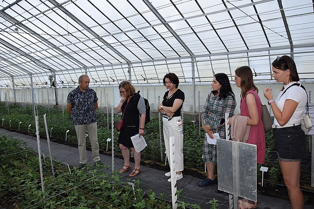 Goście podczas wizytacji doświadczeń z chryzantemą