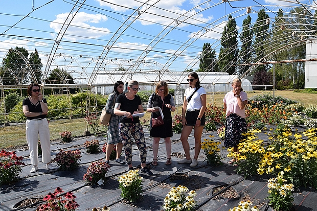 Goście podczas wizytacji doświadczeń z jeżówką