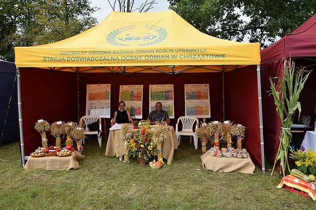 Stoisko SDOO w Chrząstowie