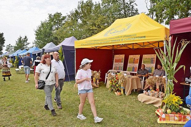 Stoisko SDOO w Chrząstowie