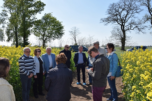 uczestnicy szkolenia stojący na ścieżce w kwitnącym na żółto rzepaku ozimym