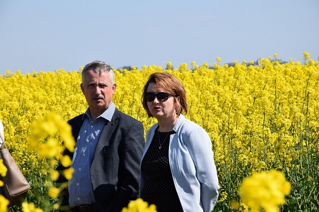 z-ca dyrektora COBORU ds. badawczo-doświadczalnych Marcin Behnke i dyrektor SDOO w Chrząstowie Beata Kaliska na tle kwitnącego na żółto rzepaku ozimego