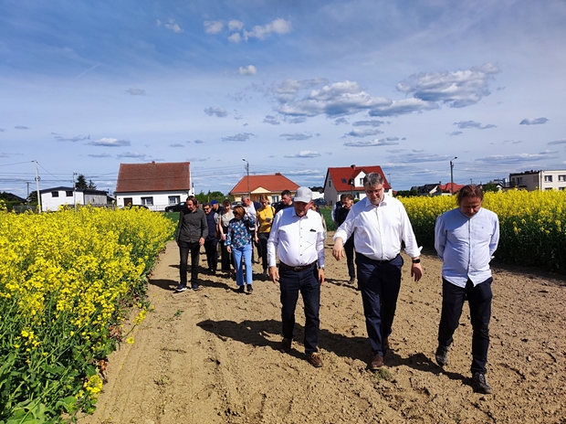 Goście chodzący po ścieżkach w doświadczeniach z kwitnącym rzepakiem ozimym.