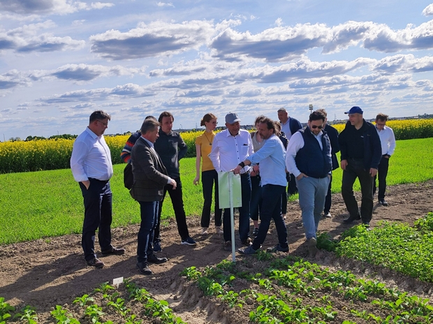 Zgromadzeni goście przy poletkach doświadczalnych z rzepakiem jarym.