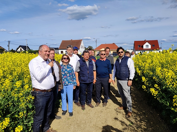 Zbiorowe zdjęcie uczestników szkolenia na ścieżce w rzepaku ozimym.