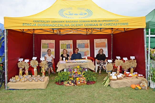 pracownicy SDOO w Chrząstowie siedzący pod namiotem udekorowanym wieńcami dożynkowymi