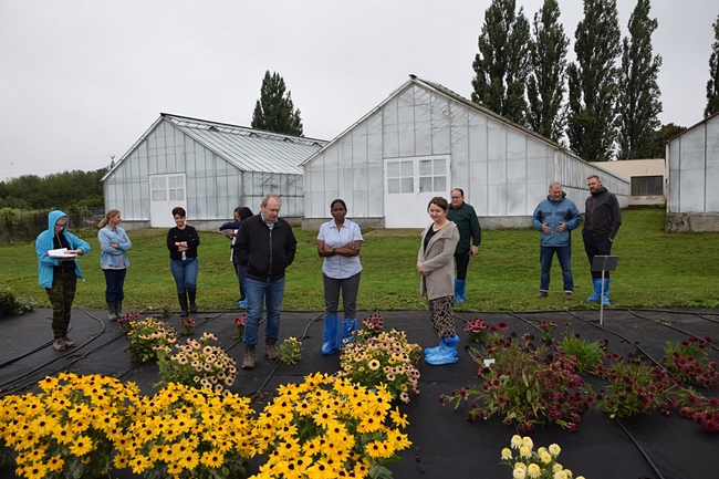 Uczestnicy spotkania stojący na czarnej macie przed kwitnącymi roślinami jeżówki