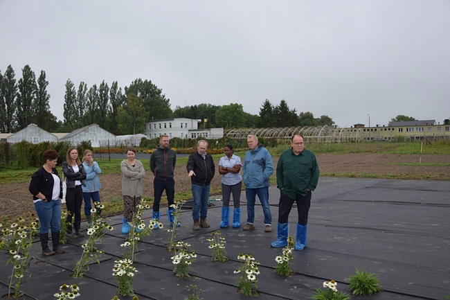 Uczestnicy spotkania stojący na czarnej macie przed kwitnącymi roślinami jeżówki.