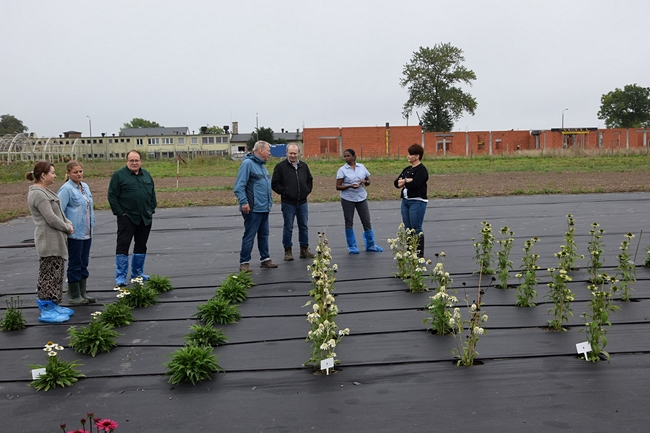 Uczestnicy spotkania stojący na czarnej macie przed kwitnącymi roślinami jeżówki