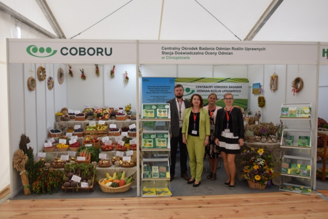 Pracownicy SDOO w Chrząstowie na stoisku podczas XXXII KWR 2023