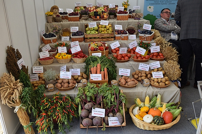 Stoisko COBORU na XXXII KWR podczas przygotowań