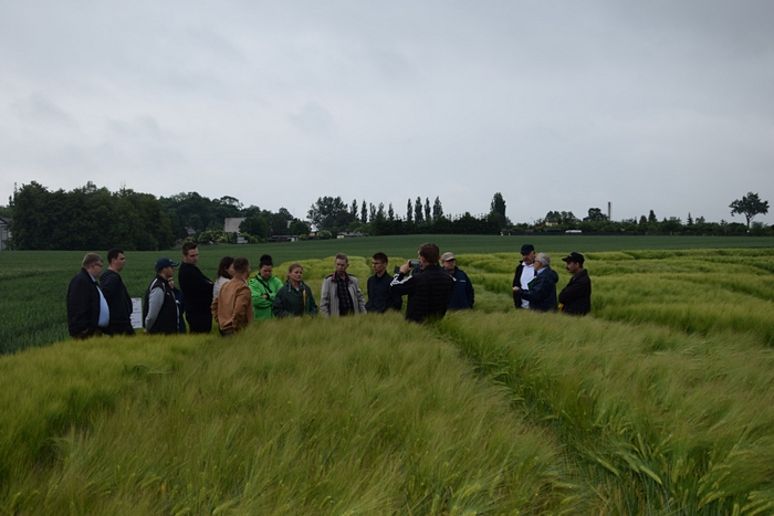 uczestnicy szkolenia chodzący po ścieżkach w doświadczeniu z jęczmieniem ozimym