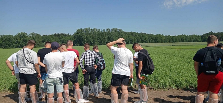 uczestnicy warsztatów stojący przed poletkami z grochem