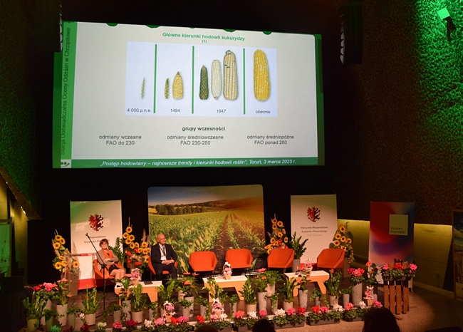 widok sceny przyozdobionej w kwiaty