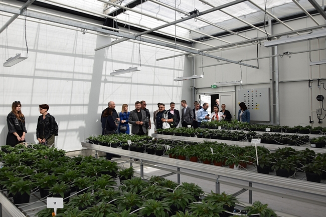 uczestnicy spotkania stojący w szklarni przed stołami na których stoją rośliny