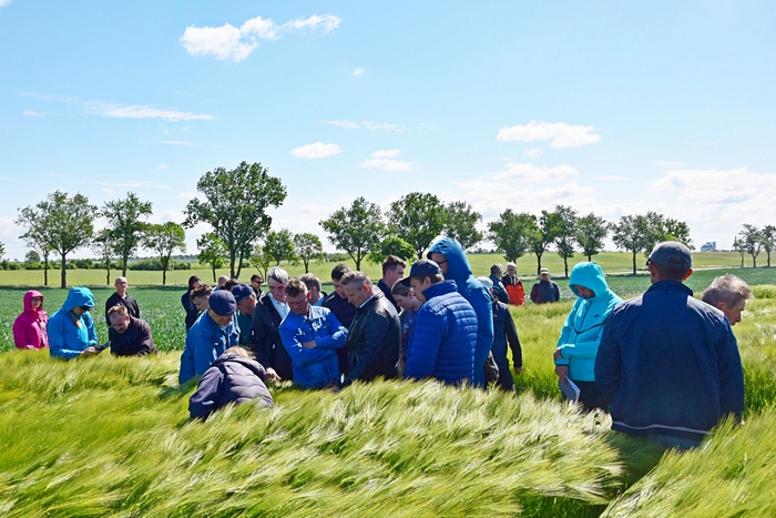 uczestnicy warsztatów oglądający doświadczenia z jęczmieniem ozimym  