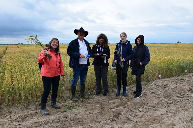 grupa rolników stoją przed doświadczeniami ze zbożami ozimymi”